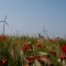 Wind power was Spain’s top source of electricity in 2013